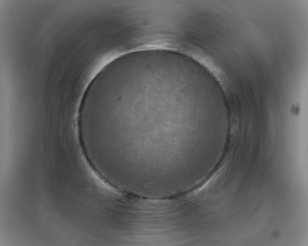 X0000097611423200802291251