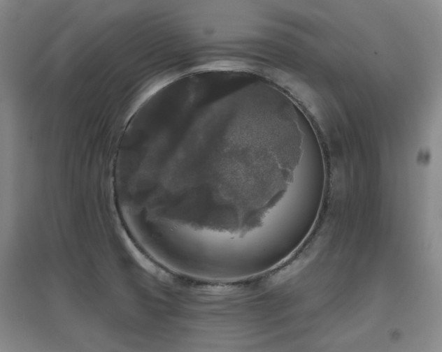 X0000097611425200802291251