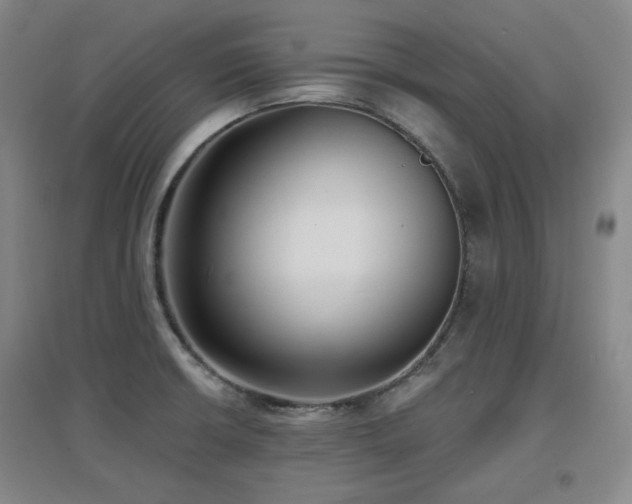 X0000097611426200802291251