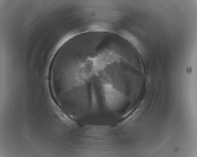 X0000097611427200802291251