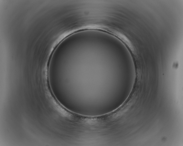 X0000097611428200802291251