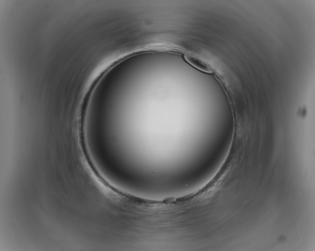 X0000097611430200802291251