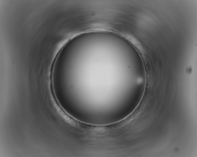 X0000097611431200802291251