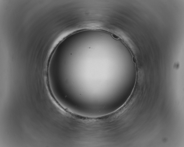 X0000097611432200802291251