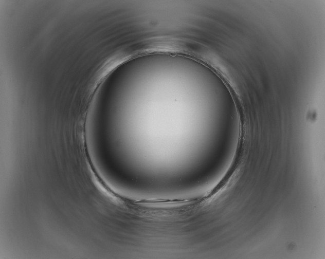 X0000097611433200802291251