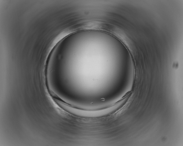 X0000097611434200802291251