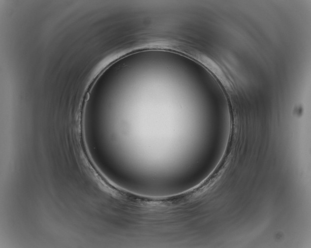 X0000097611436200802291251