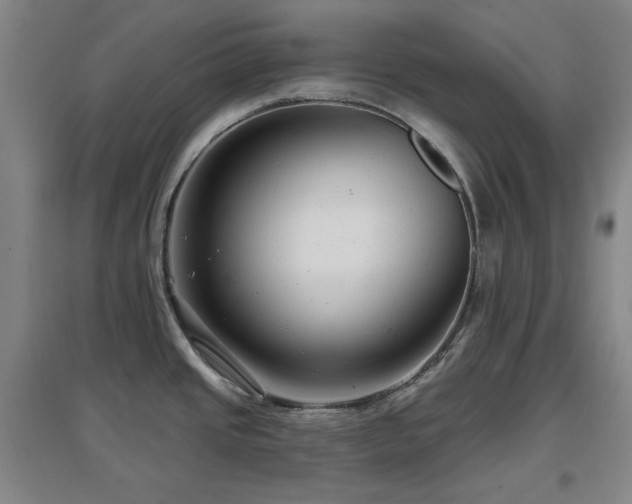 X0000097611437200802291251