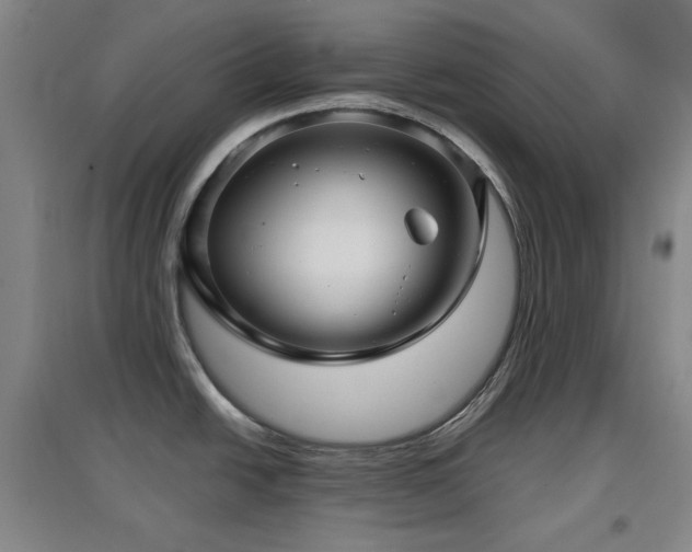 X0000097611438200802291251