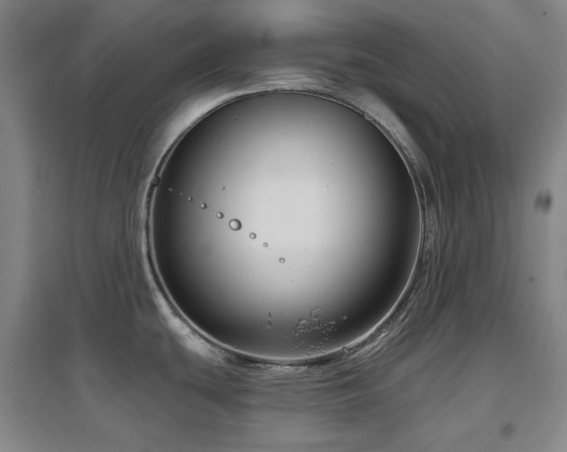 X0000097611439200802291251