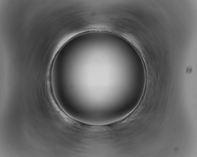X0000097611440200802291251