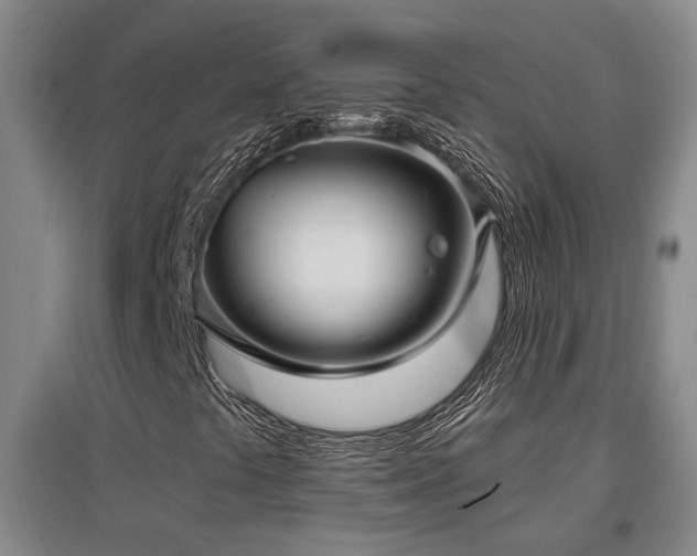 X0000097611441200802291251
