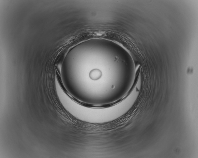 X0000097611442200802291251