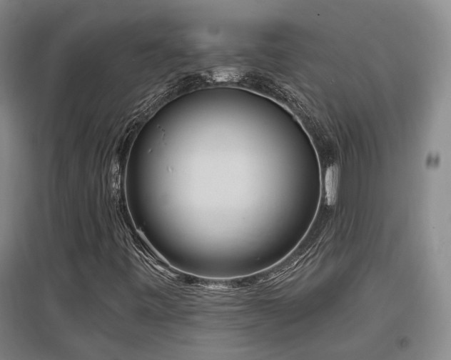 X0000097611443200802291251