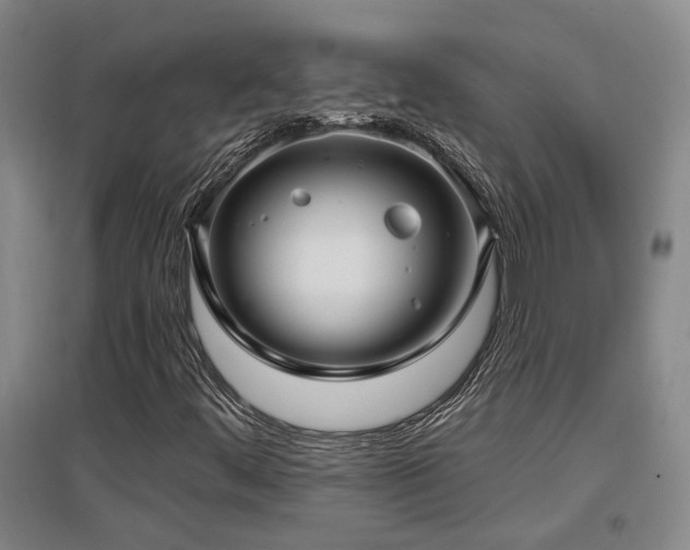 X0000097611444200802291251
