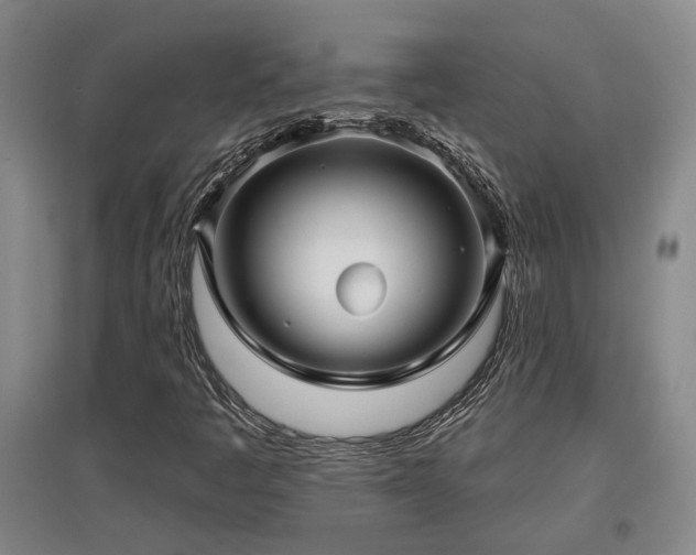 X0000097611445200802291251