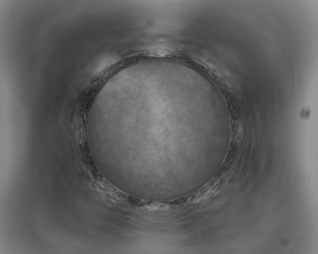 X0000097611446200802291251