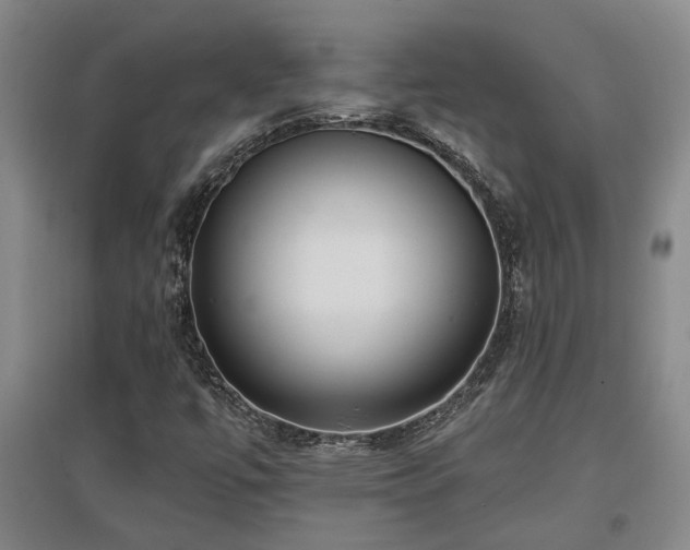 X0000097611447200802291251