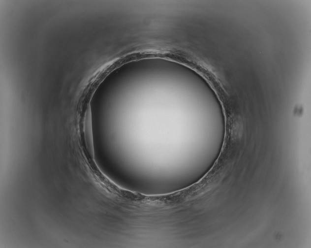 X0000097611448200802291251