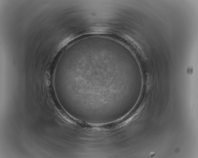 X0000097611449200802291251