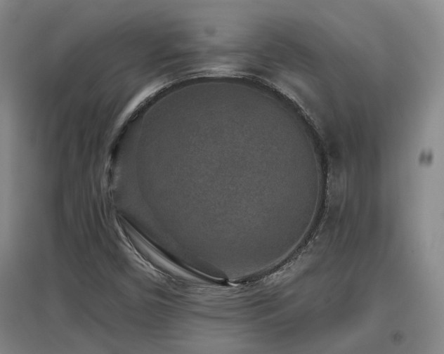 X0000097611450200802291251