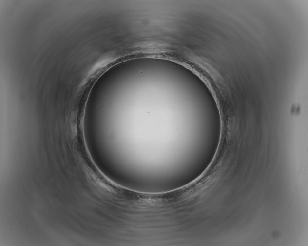 X0000097611451200802291251