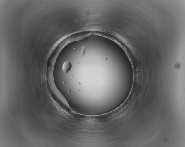 X0000097611452200802291251
