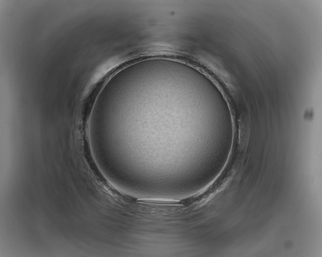X0000097611453200802291251