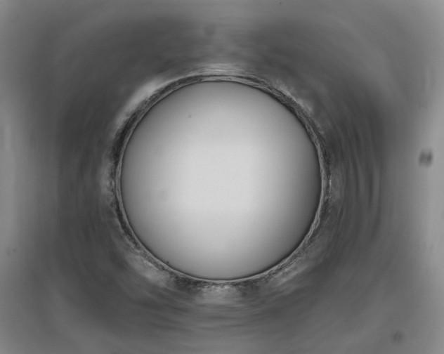 X0000097611454200802291251