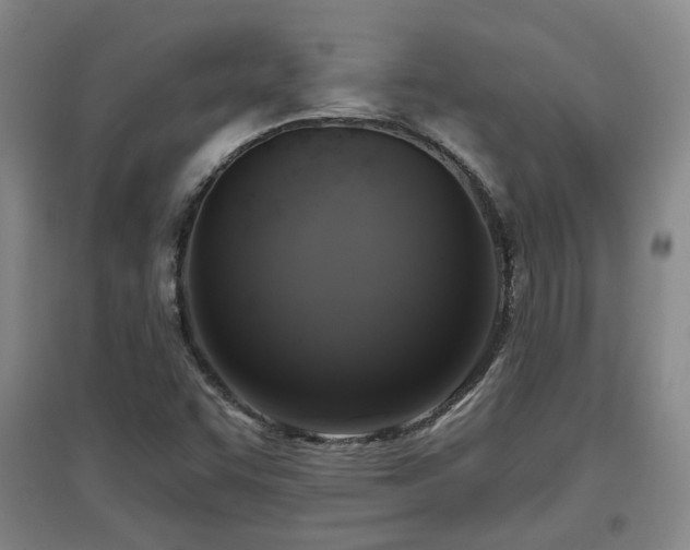 X0000097611455200802291251