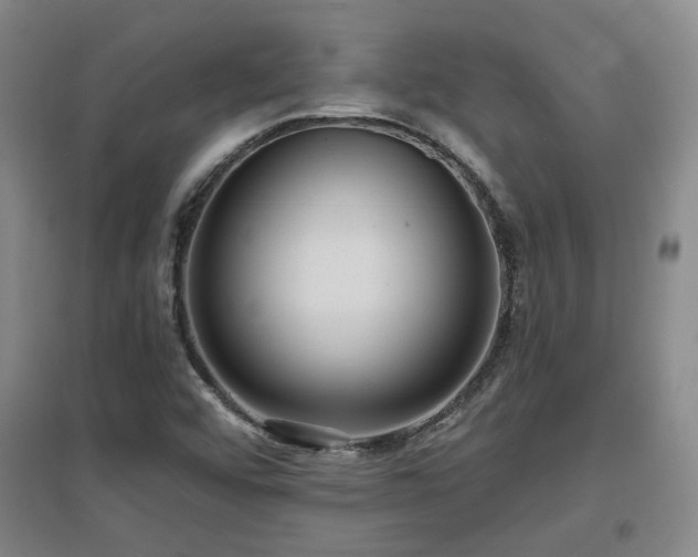 X0000097611456200802291251