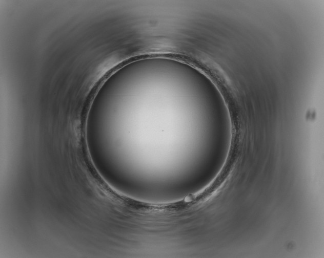X0000097611457200802291251