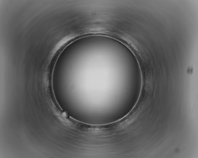 X0000097611458200802291251