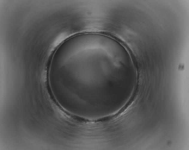 X0000097611459200802291251
