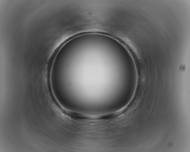 X0000097611460200802291251