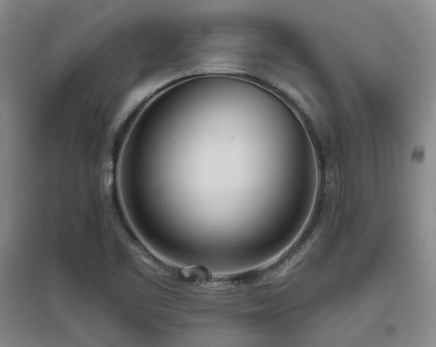 X0000097611461200802291251