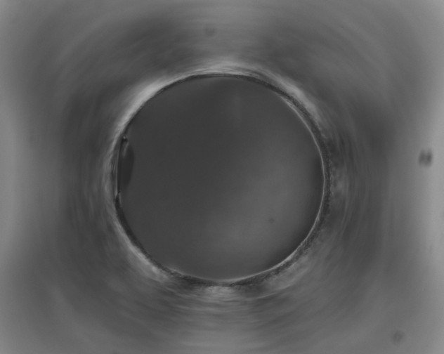 X0000097611463200802291250