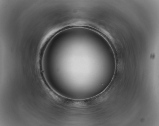 X0000097611464200802291250