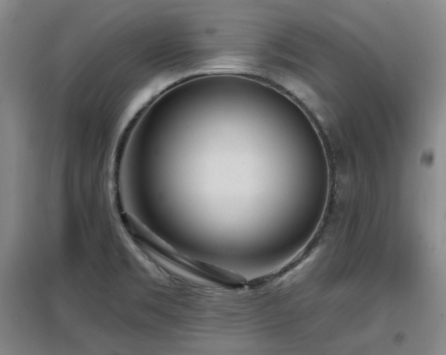 X0000097611469200802291250