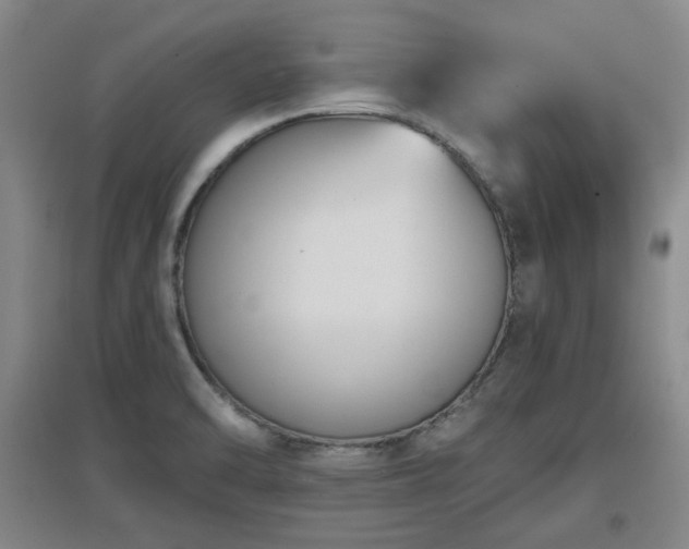 X0000097611470200802291250