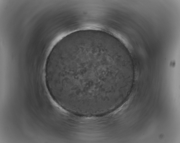 X0000097611471200802291250