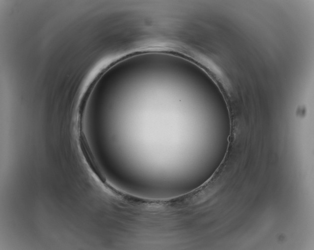 X0000097611472200802291250