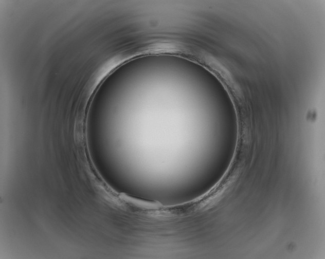 X0000097611473200802291250