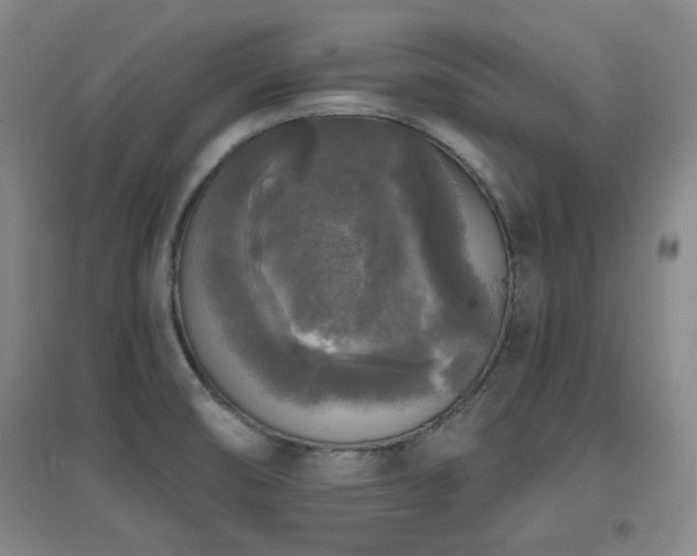 X0000097611474200802291250