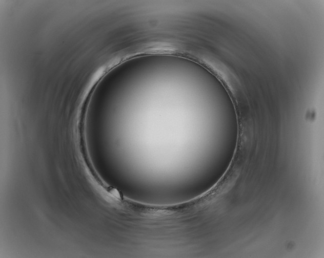 X0000097611475200802291250