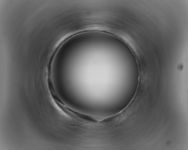X0000097611476200802291250