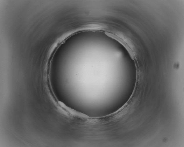 X0000097611477200802291250