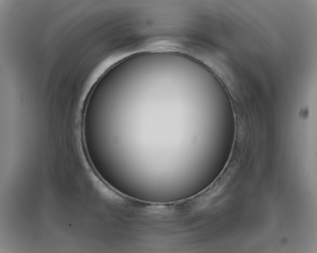 X0000097611478200802291250