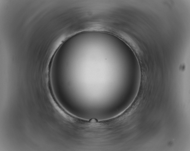 X0000097611479200802291250