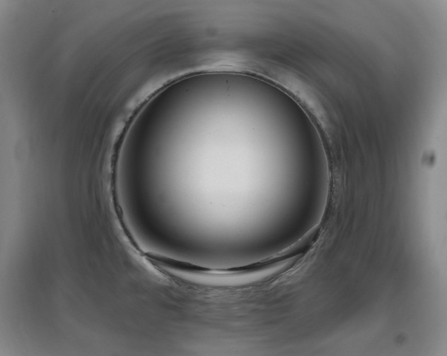 X0000097611480200802291250